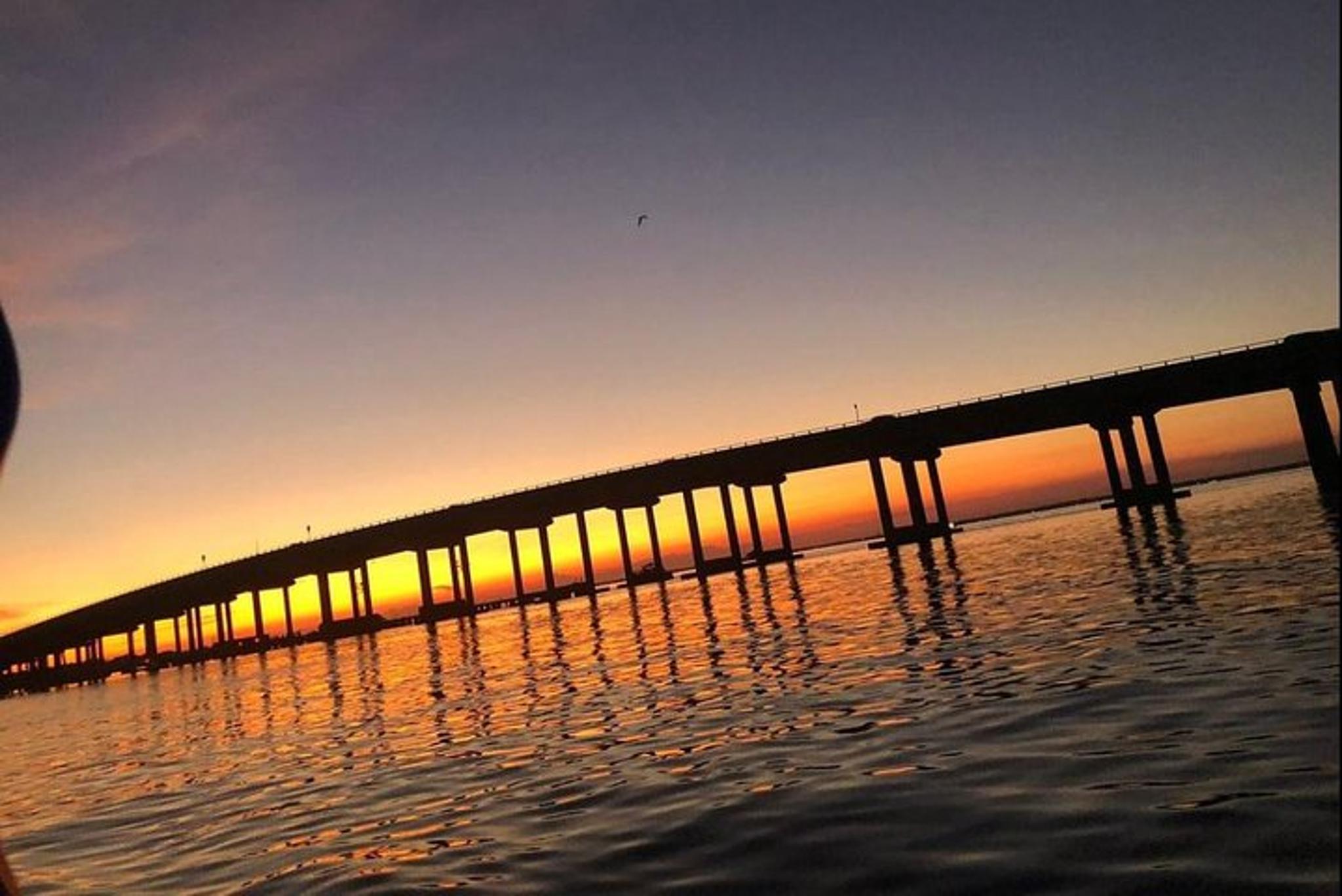 Destin Dolphin Watching Cruise at Sunset 45 min - Image 6