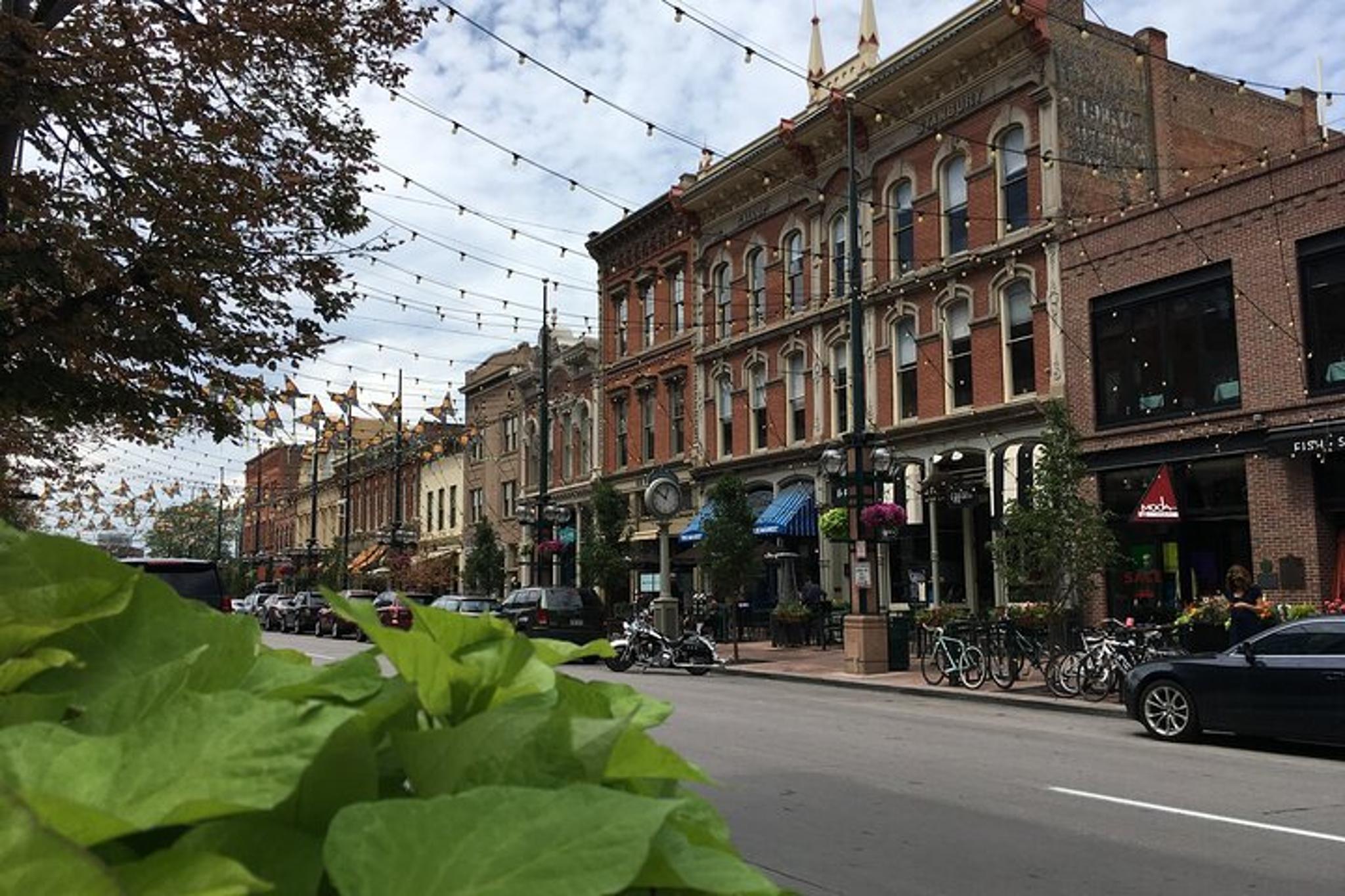 Denver Walking Tour in Mid and Lower Downtown - Image 3