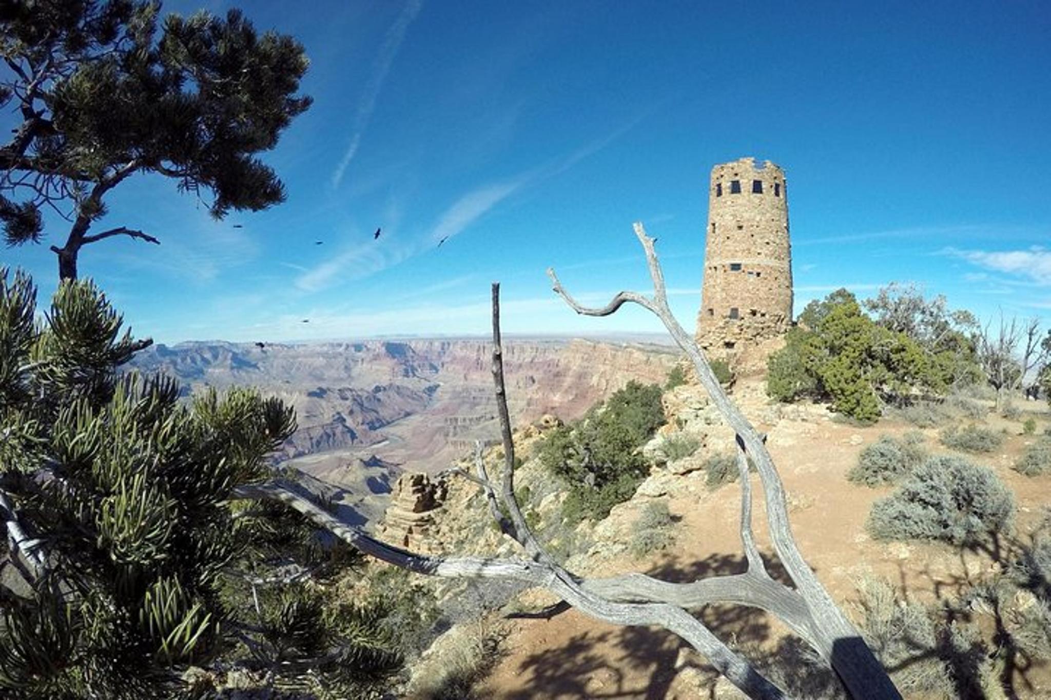 Grand Canyon Hike and Sightseeing Tour - Image 4
