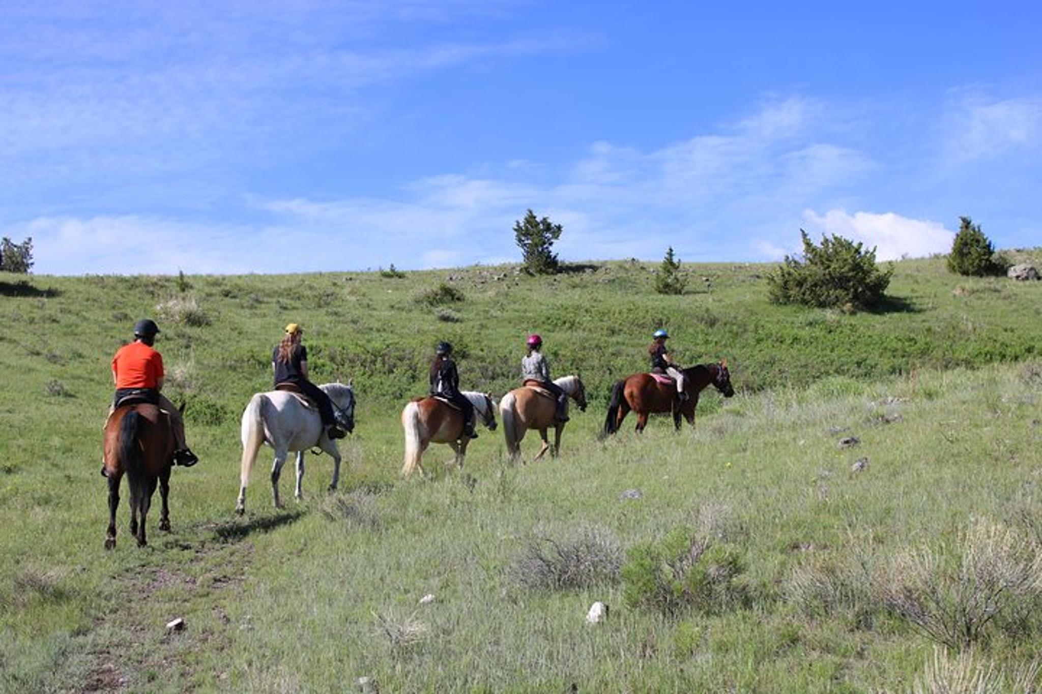 Paradise Valley Horseback Trail Ride 2 hr