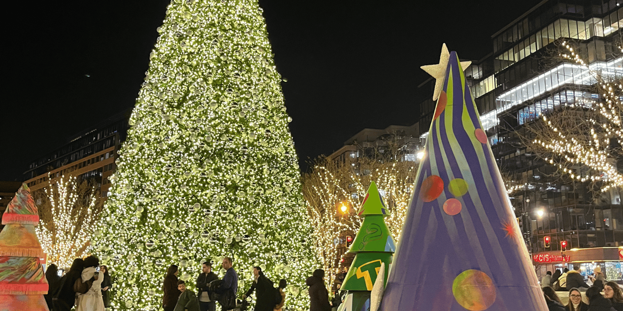 Washington D.C. Christmas Tree & Holiday Lights Tour