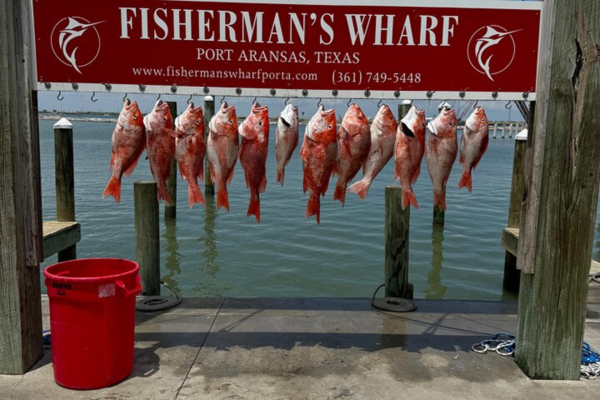 Port Aransas Snapper Fishing Adventure 8 hr - Image 4