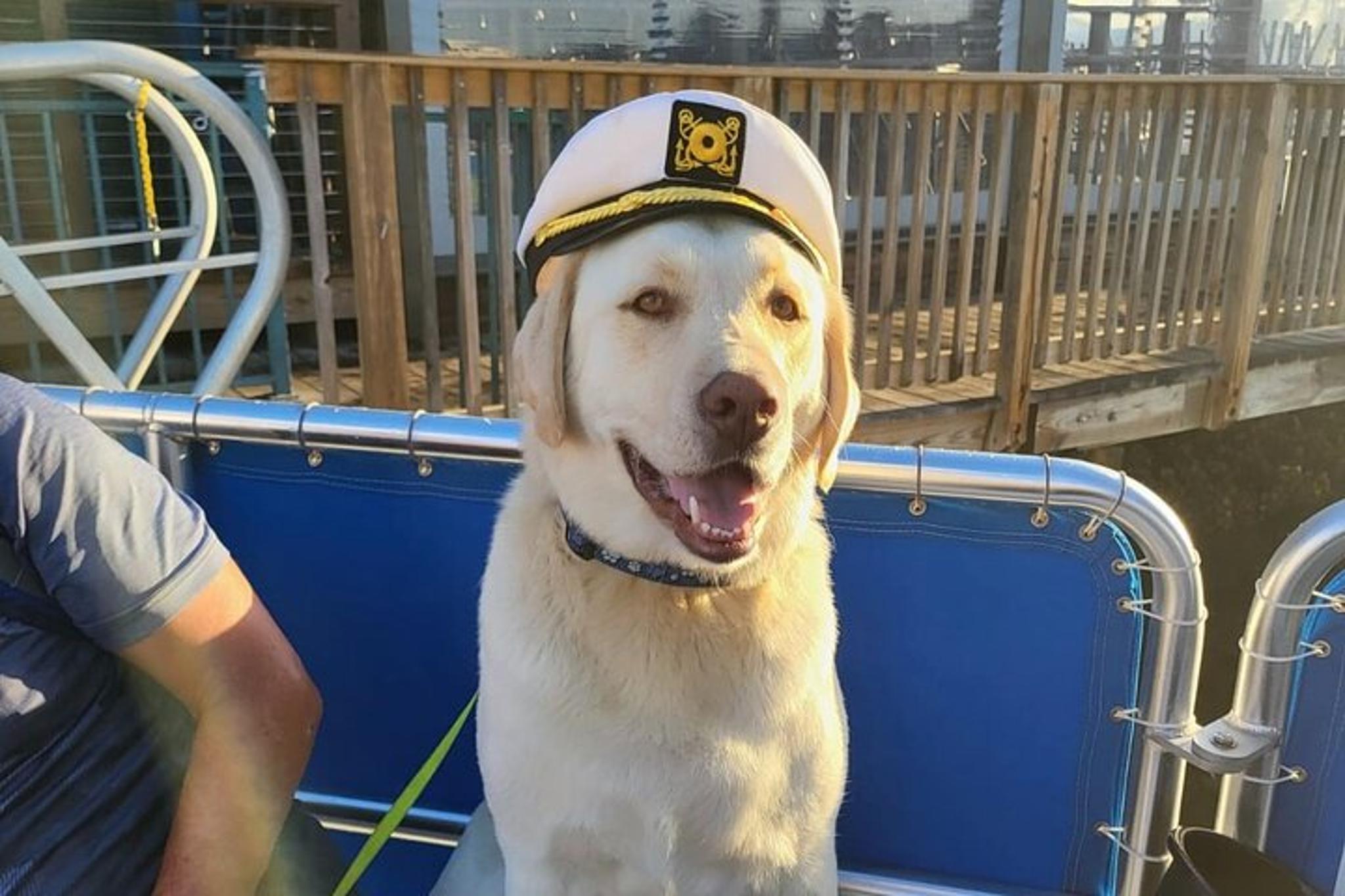 Naples Dog-Friendly Boat Tour to Keewaydin Island