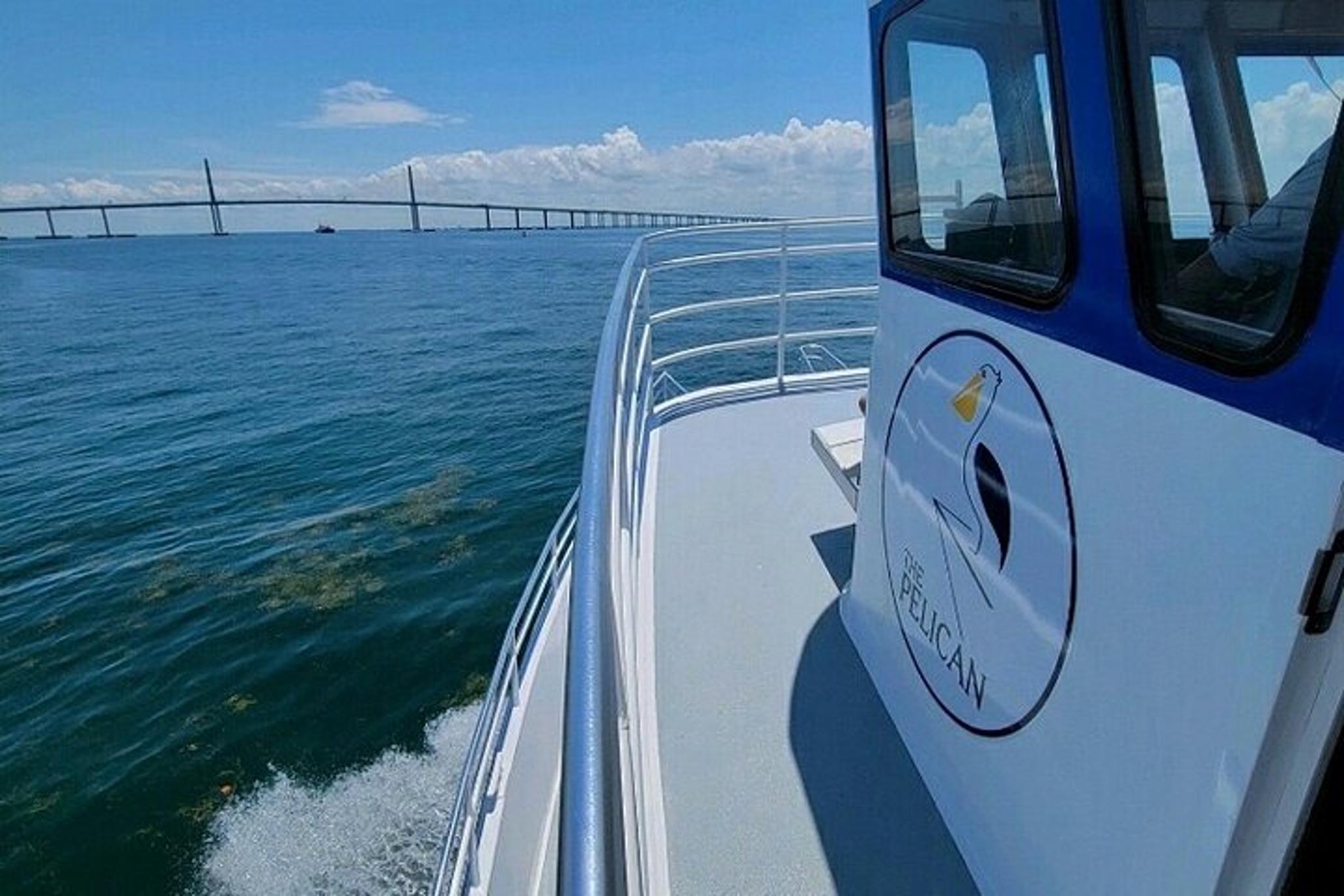 St. Petersburg Dolphin Sightseeing Tour 2 hr - Image 6