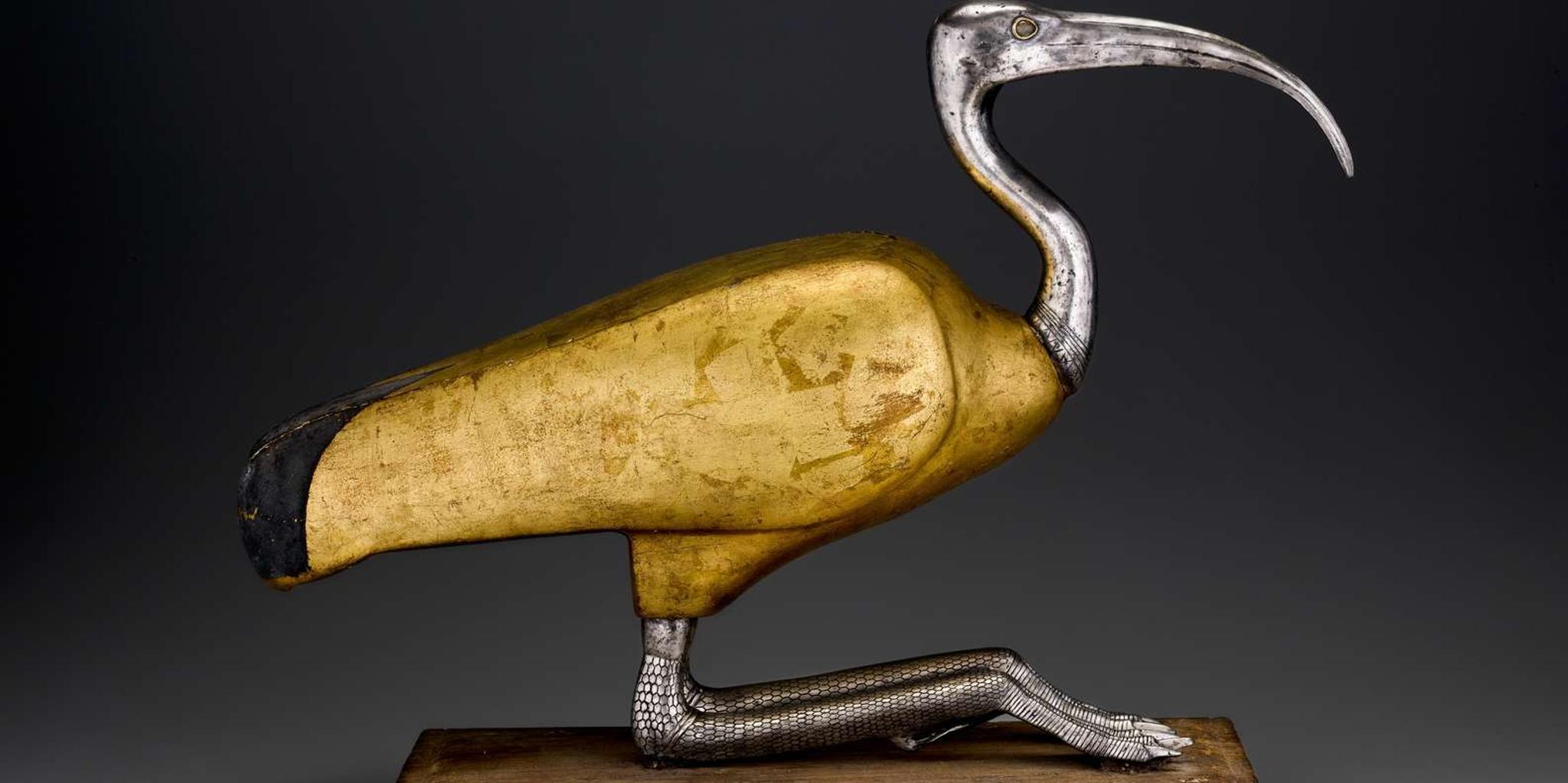 Las Vegas Animal Mummies Exhibition - Image 3