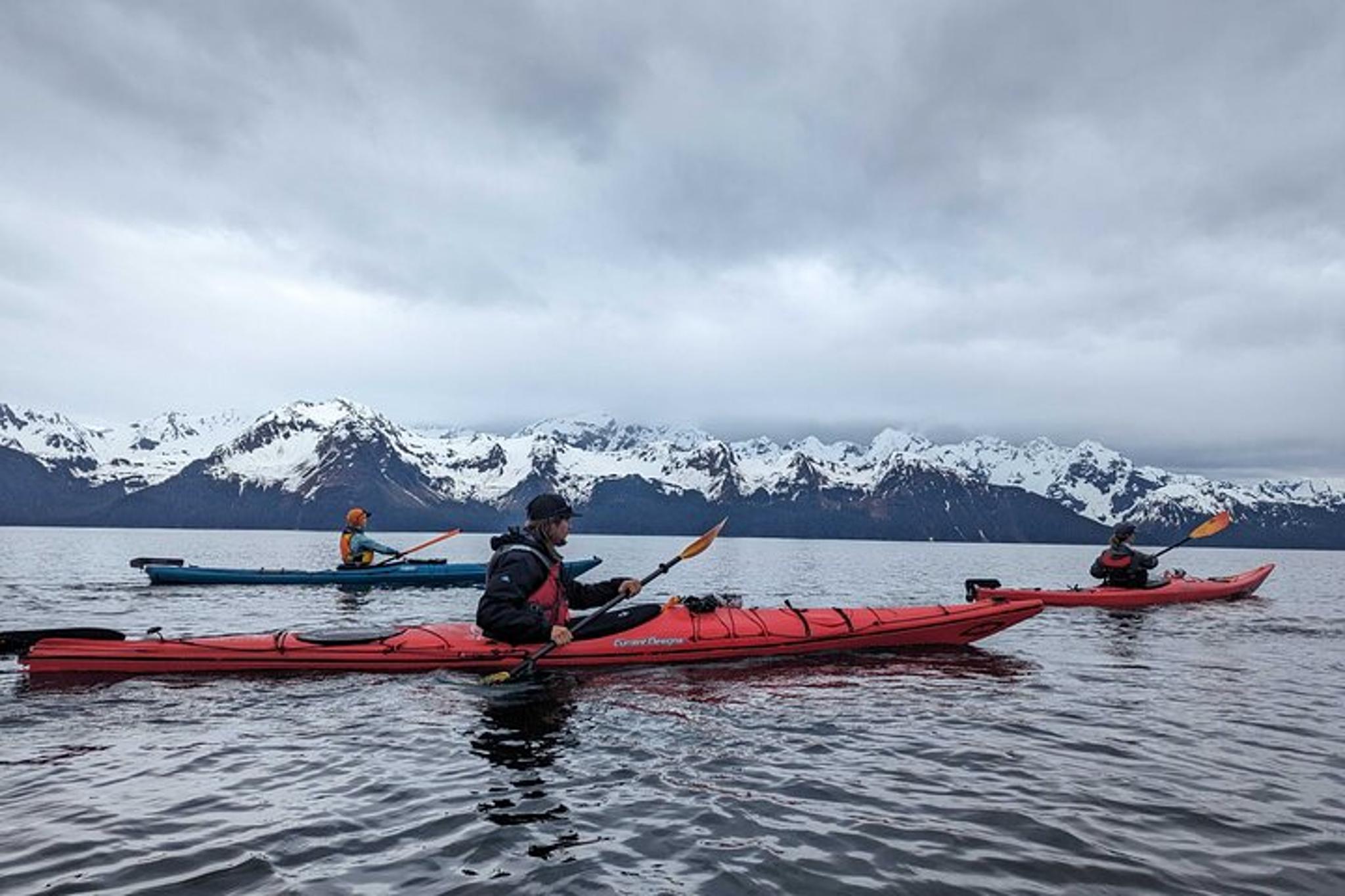 Seward Kayak Adventure in Resurrection Bay - Image 2
