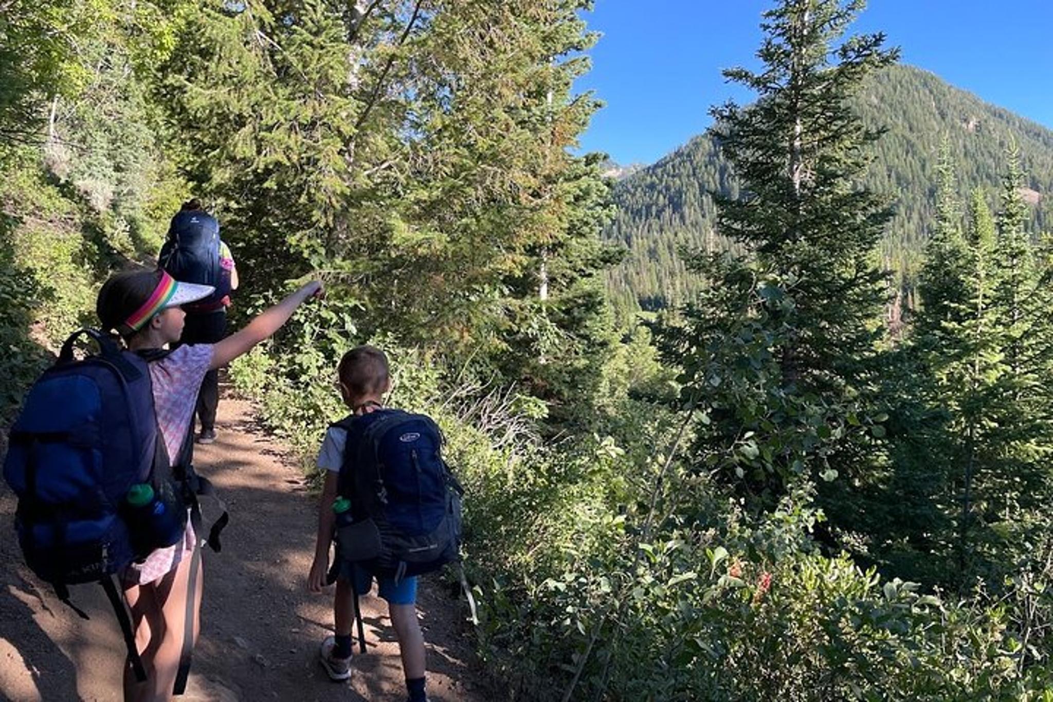 Utah Mountain Backcountry Day Trip - Image 4