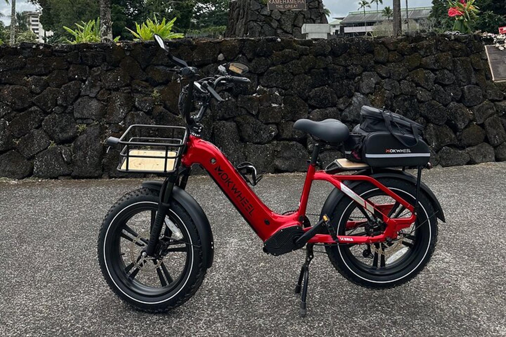 Hilo E-Bike Tour Volcano and Waterfalls - Image 2