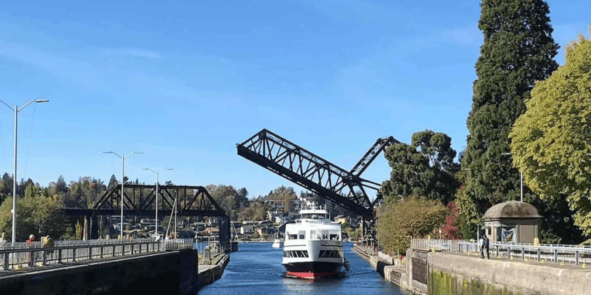 Seattle Hop-On Hop-Off Bus Tour with Locks Cruise - Image 3
