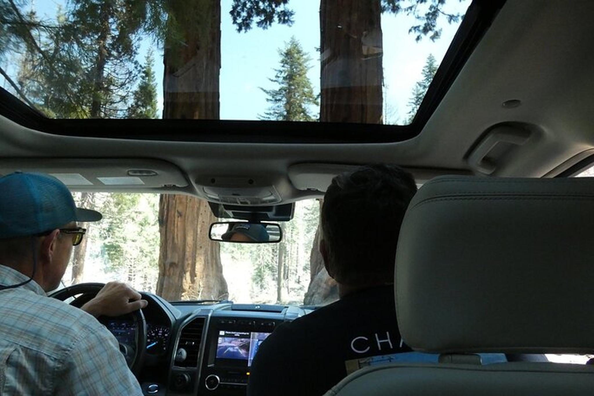Sequoia National Park Tour from Wuksachi Lodge - Image 3