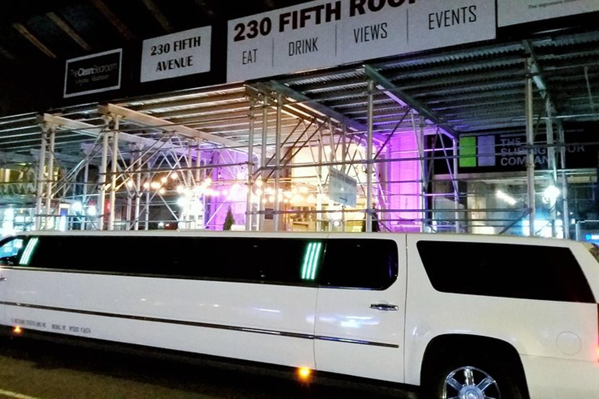 New York City Sightseeing Tour in a Cadillac Escalade - Image 5