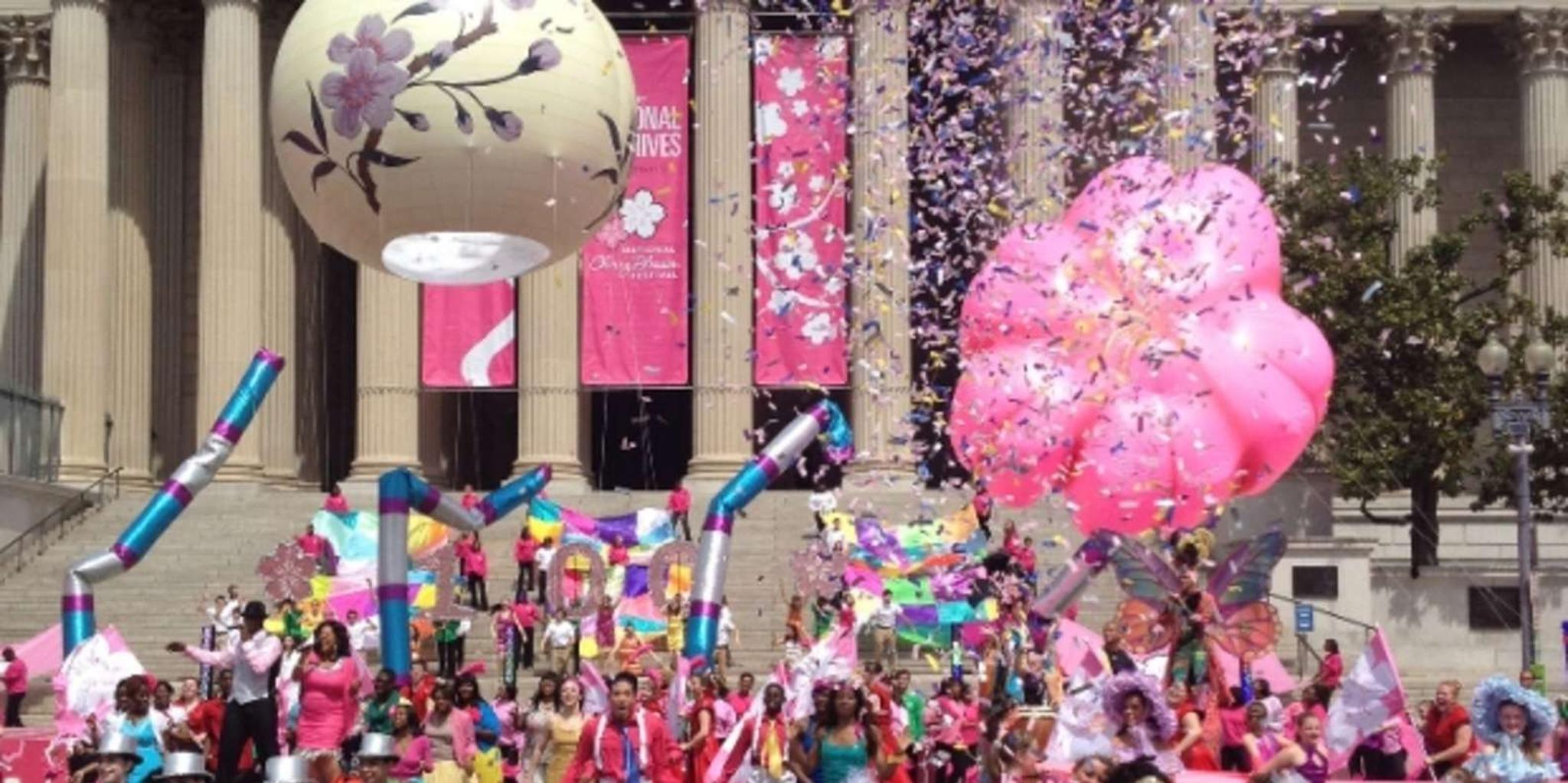 Washington DC Cherry Blossom Bus Tour with Tidal Basin Walk - Image 3