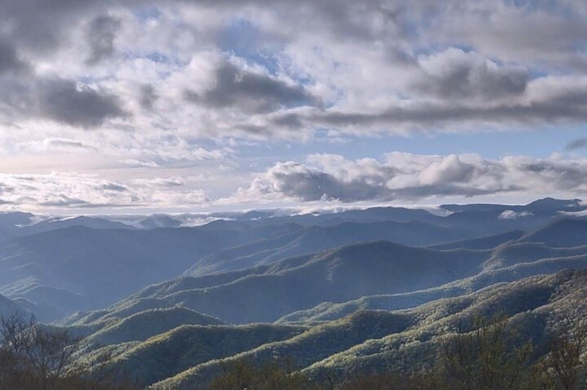 Maggie Valley Scenic UTV Adventure 3 hr - Image 6