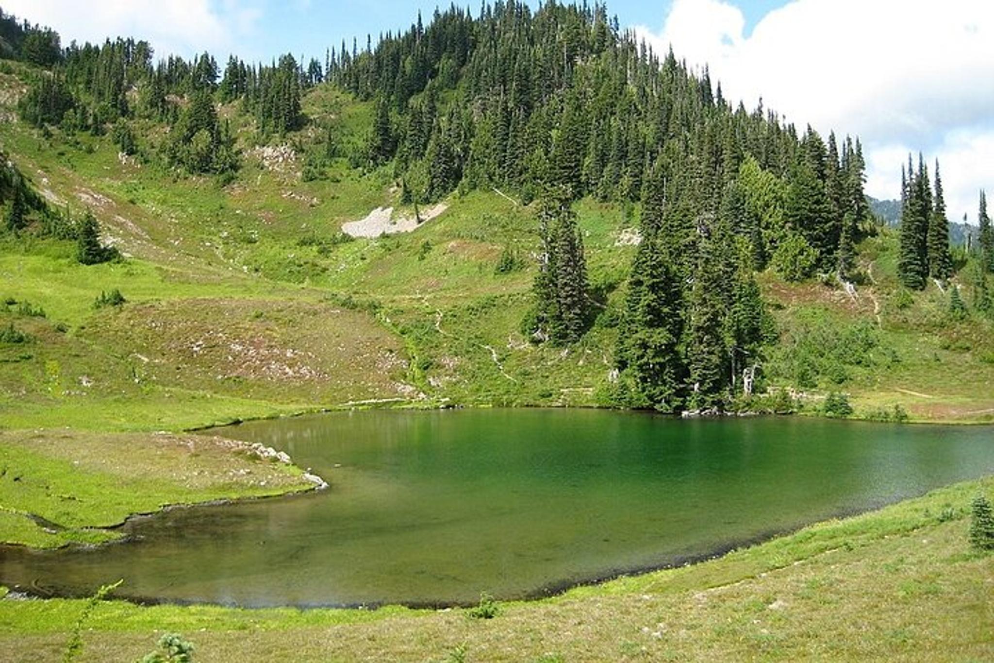 Olympic National Park Backpacking Adventure - Image 6