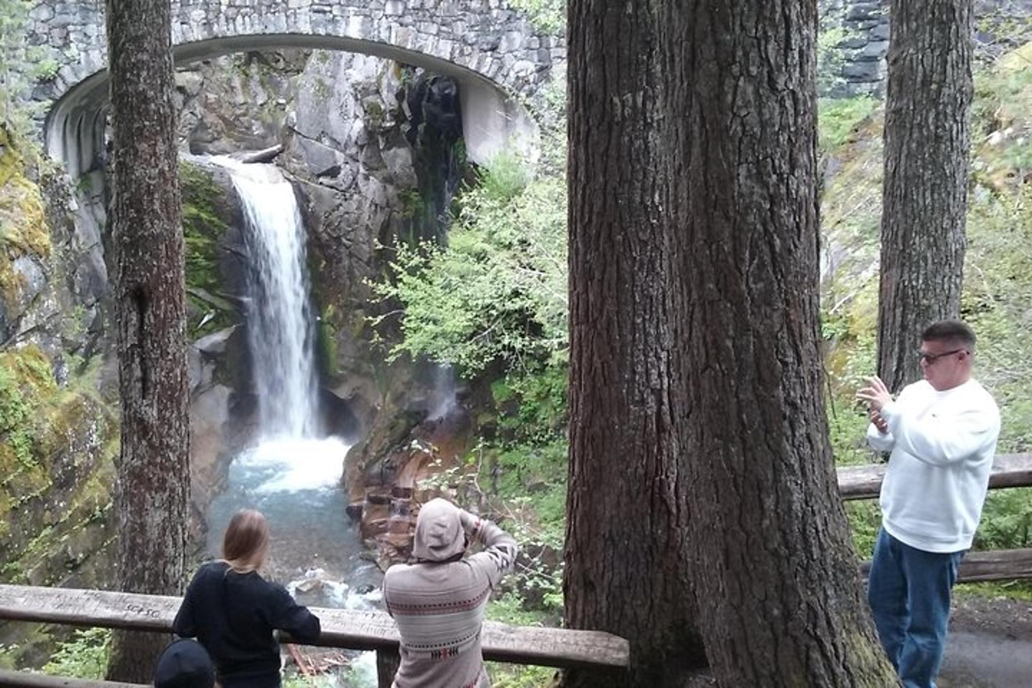 Seattle Mount Rainier Private SUV Tour - Image 3