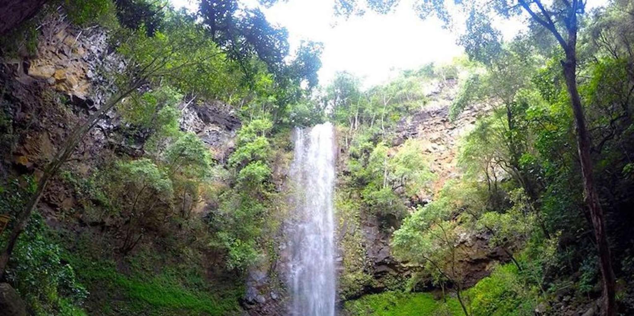 Kauai Wailua River Kayak Adventure with Waterfalls - Image 3