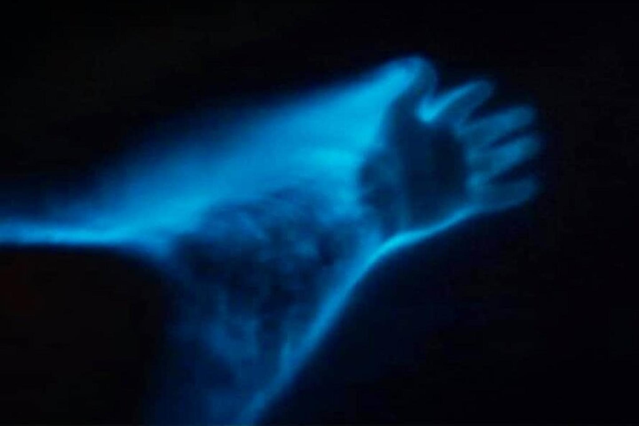 Indian River Lagoon Bioluminescence Craigcat Tour 2 hr - Image 6