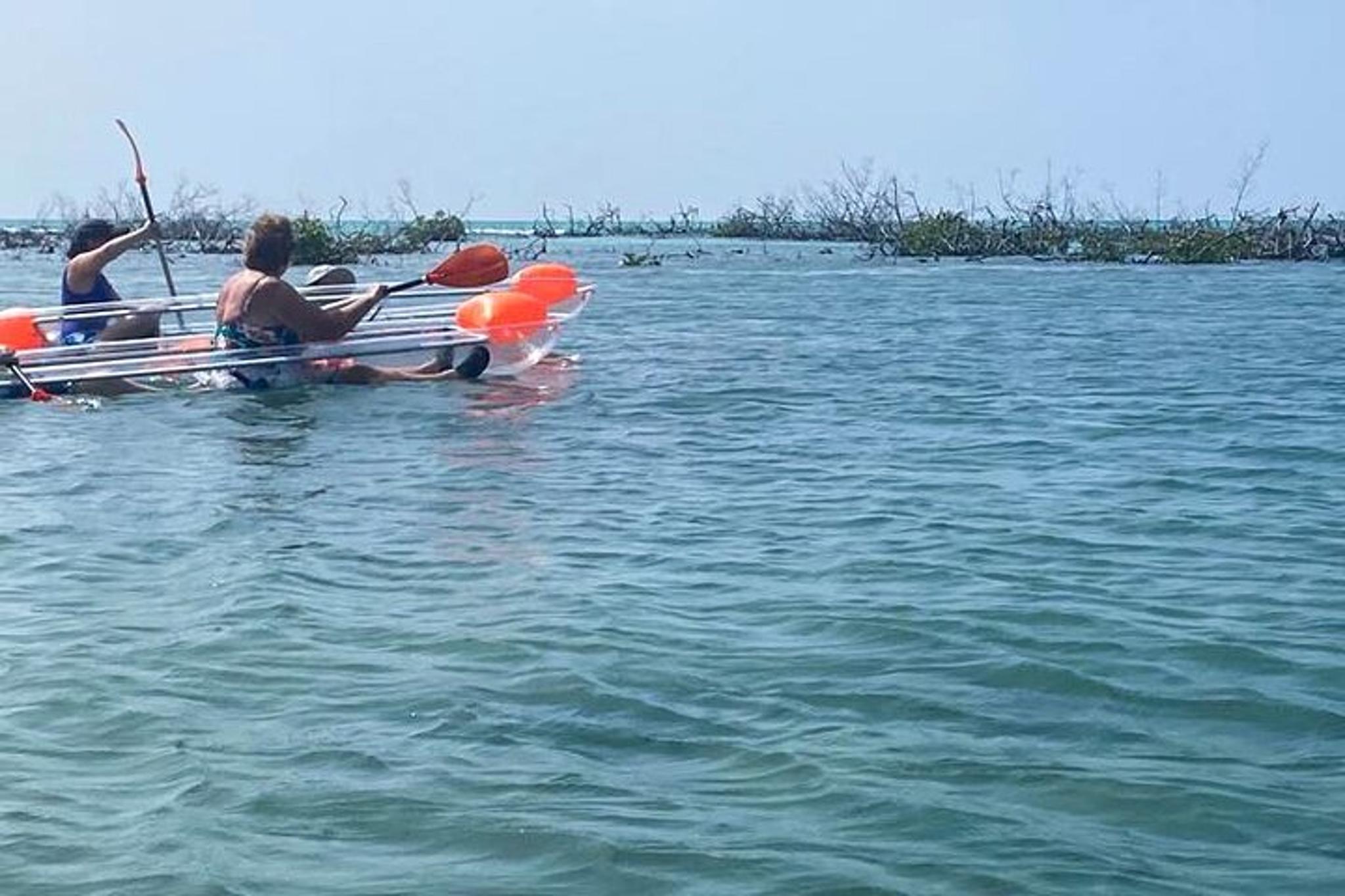 Grand Bahama Clear Kayak Tour - Image 4