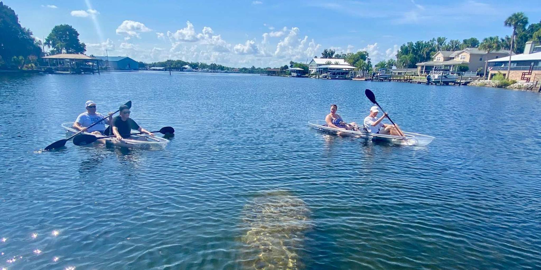 Crystal River Clear Kayak Manatee & Springs Tour 2 hr - Image 4