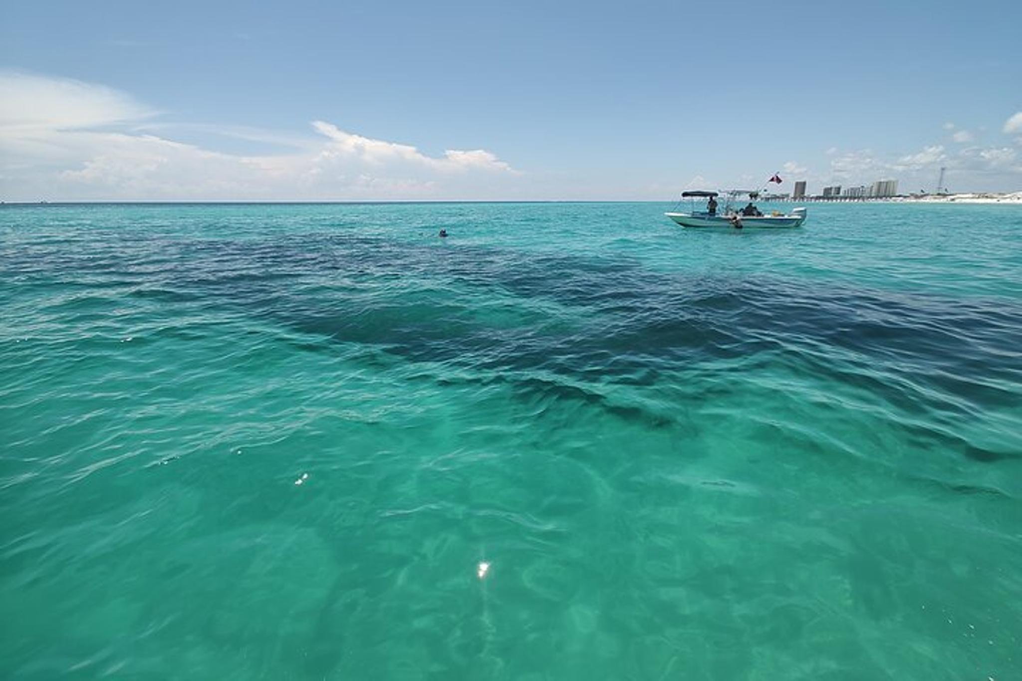 Panama City Dolphin Sightseeing Adventure - Image 6