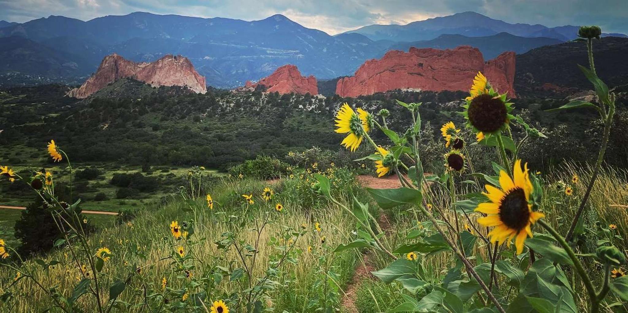 Colorado Springs Garden of the Gods Jeep Tour - Image 5