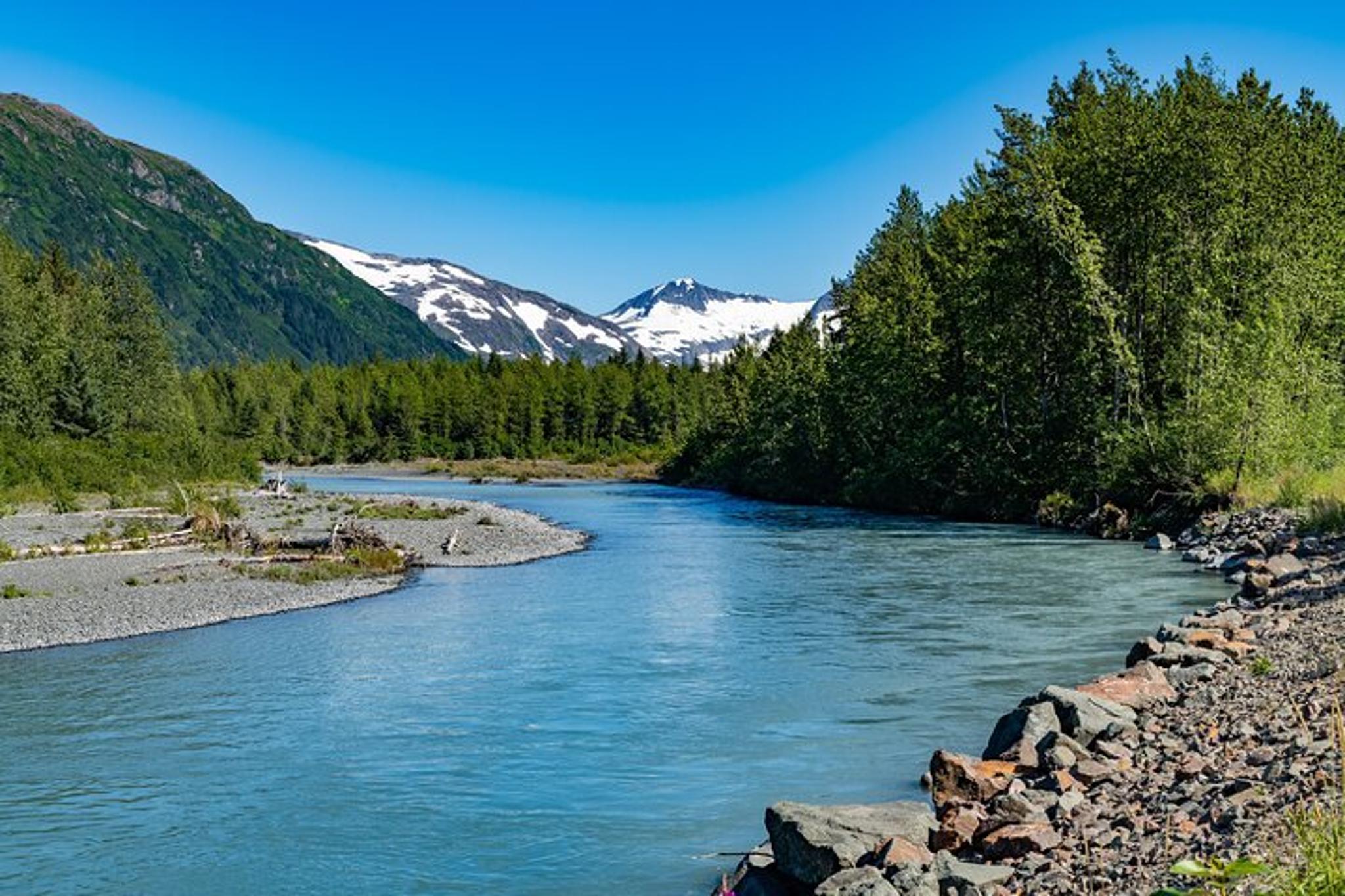 Anchorage Wilderness Photo Tour - Image 2