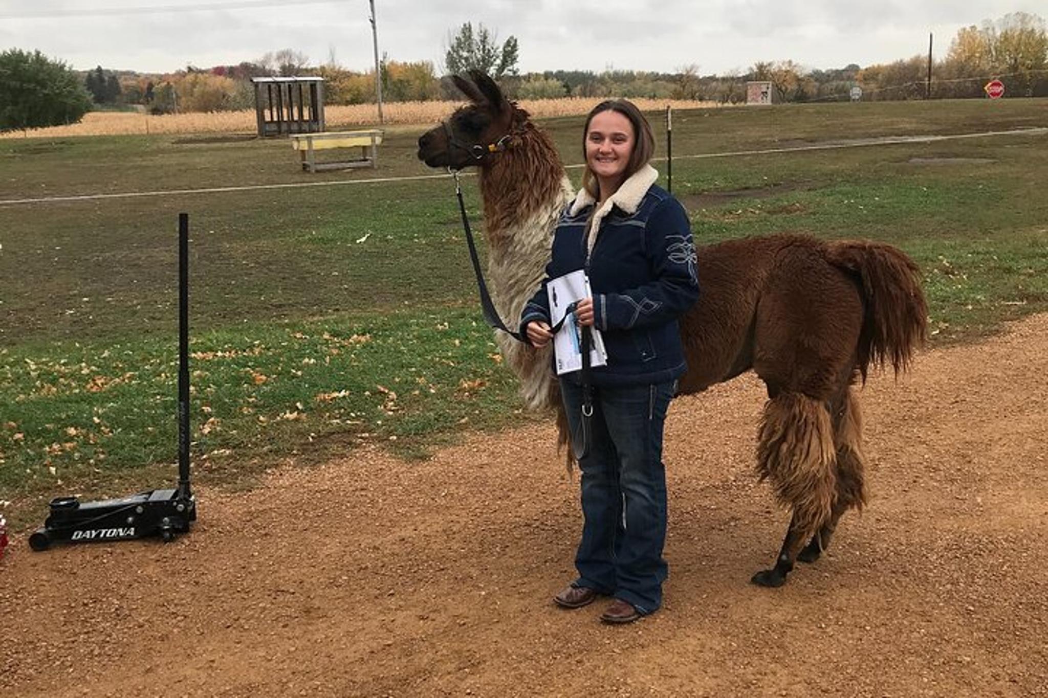 Montana Llama Encounter 60 min - Image 2