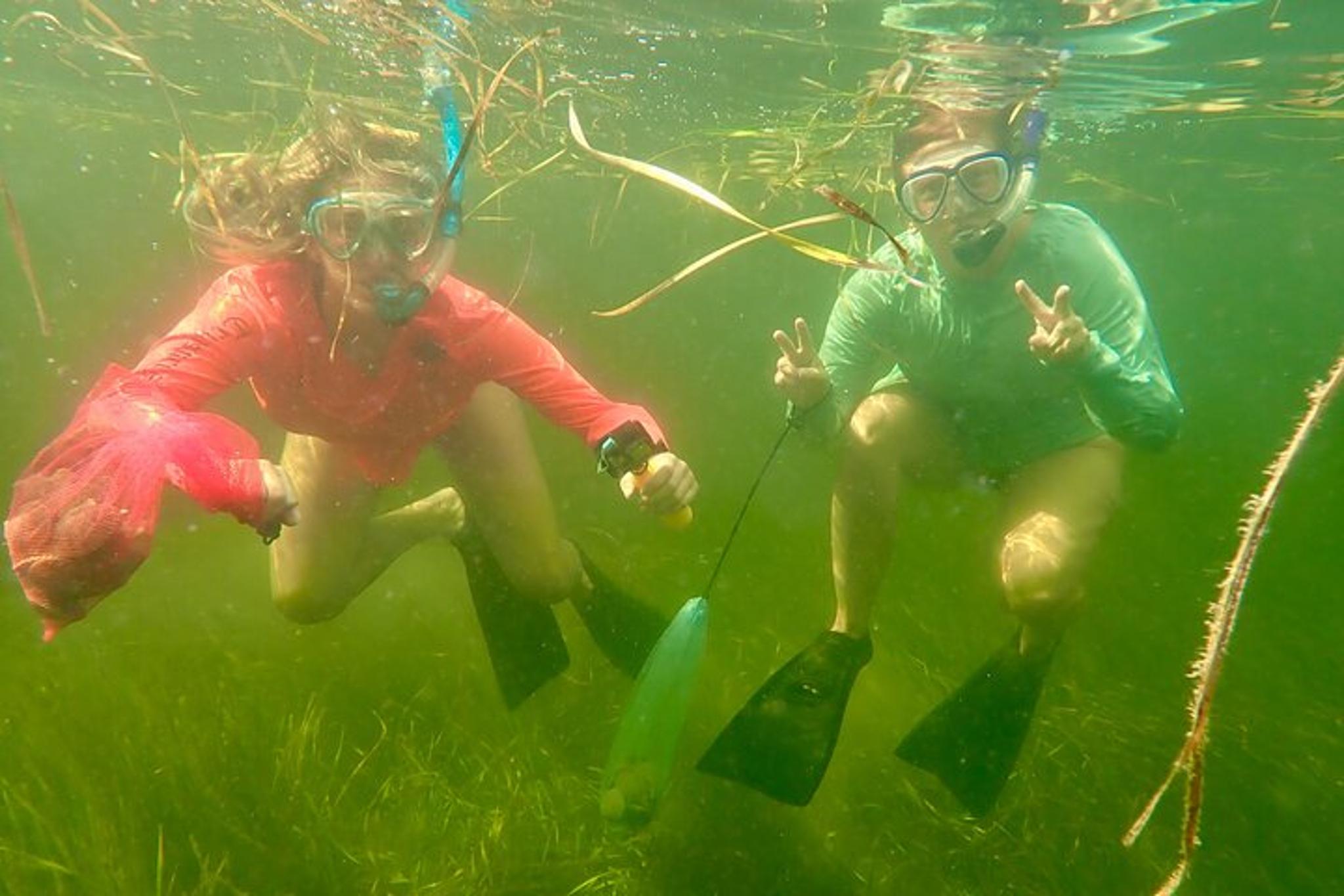 Florida Nature Coast Scalloping Adventure - Image 5