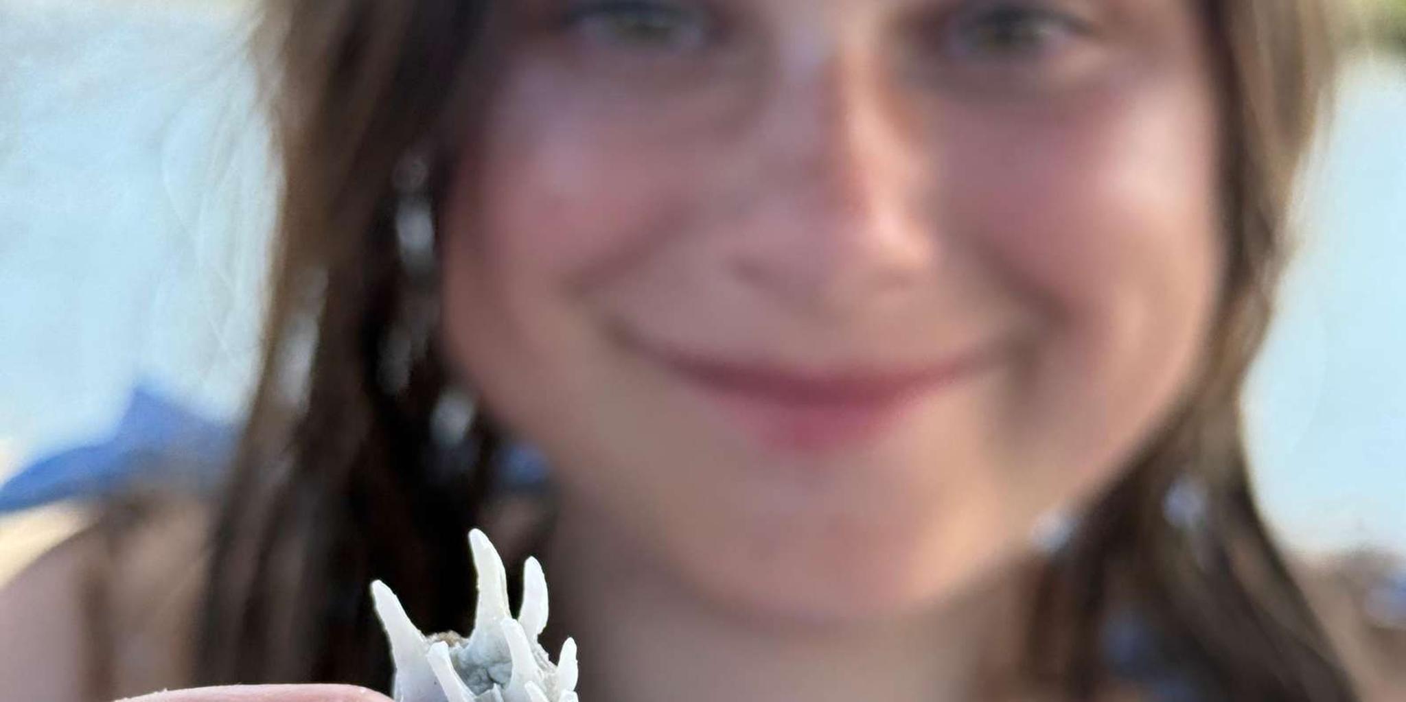 Naples Keewaydin Island Shelling Tour 3 hr - Image 5