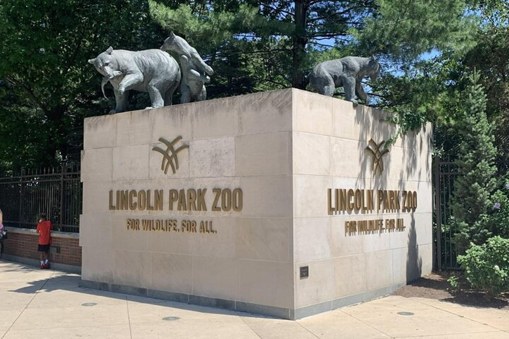 Chicago Zoo Adventure - Image 2
