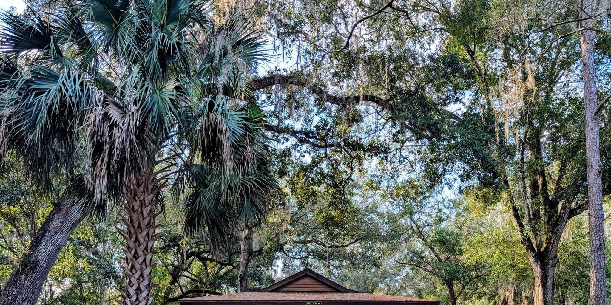 Orlando Everglades Airboat Tour - Image 5