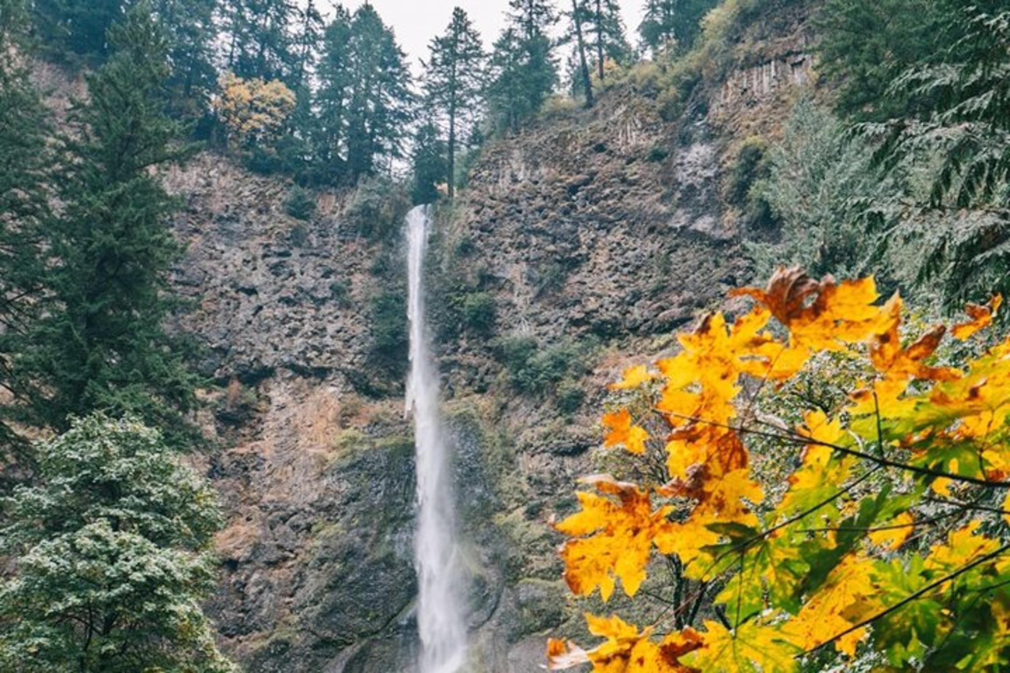Portland Sightseeing Tour with Columbia Gorge Waterfalls - Image 1
