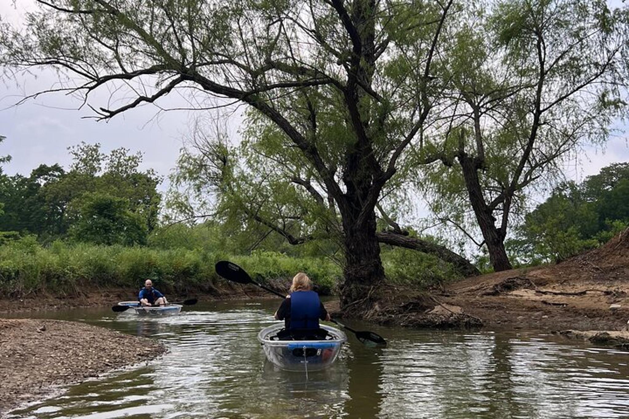 Grapevine Lake Kayak Eco Tour - Image 4