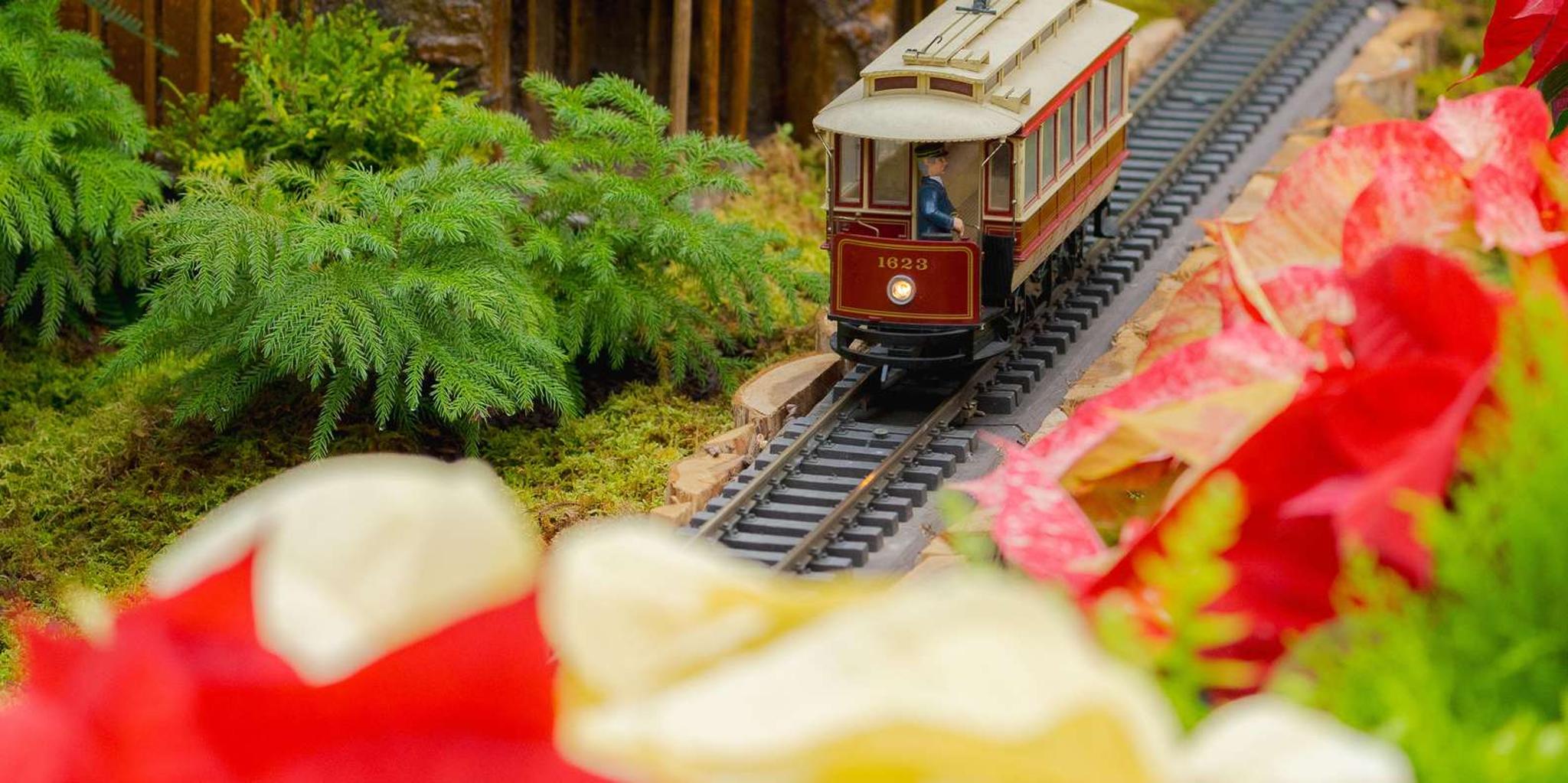 New York Botanical Garden Holiday Train Show - Image 3