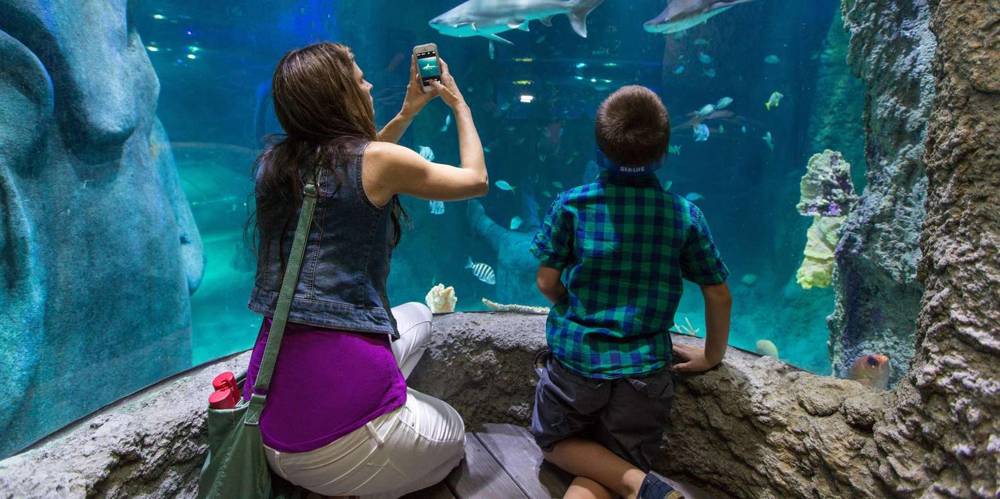 Orlando All-Inclusive Pass with Kennedy Space Center - Image 5