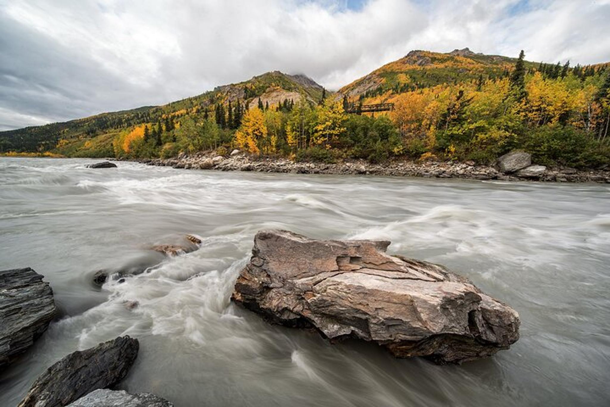 Denali Photo Excursion 3 hr - Image 4