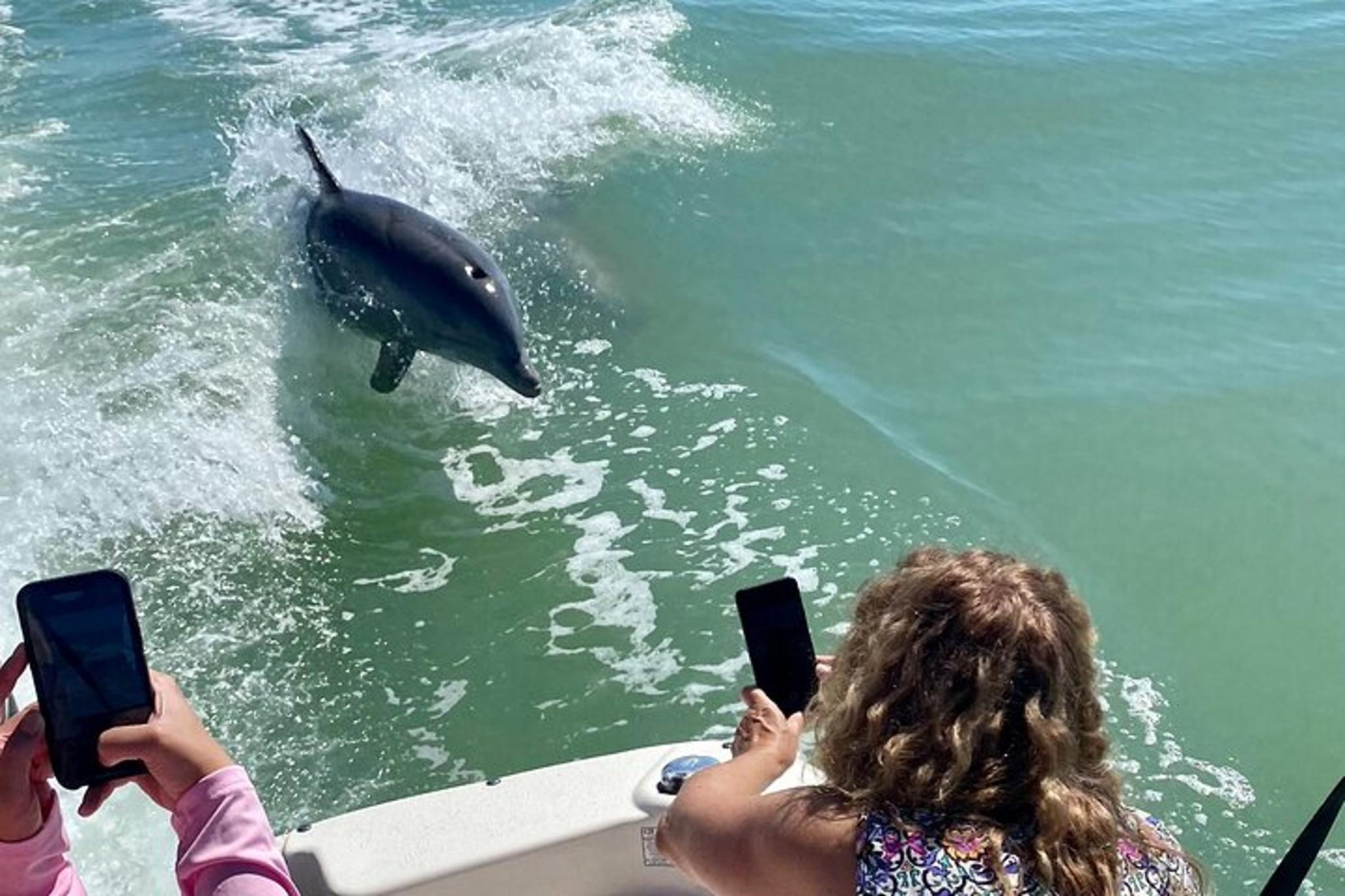 Marco Island Shelling and Dolphin Excursion - Image 2
