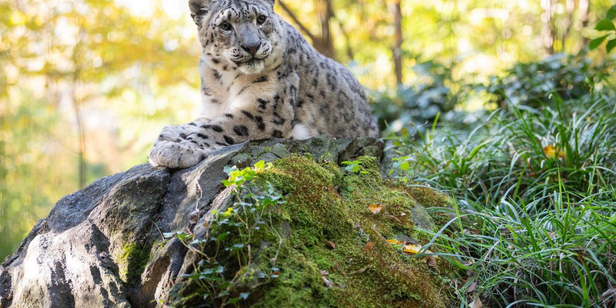 New York Central Park Zoo Entry Ticket