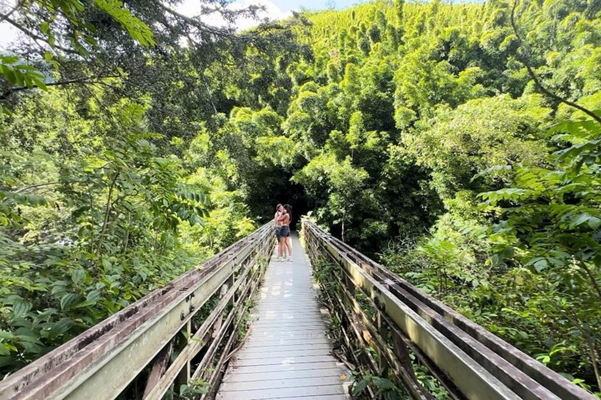 Maui Pipiwai Trail Open-Air Jeep Tour - Image 6