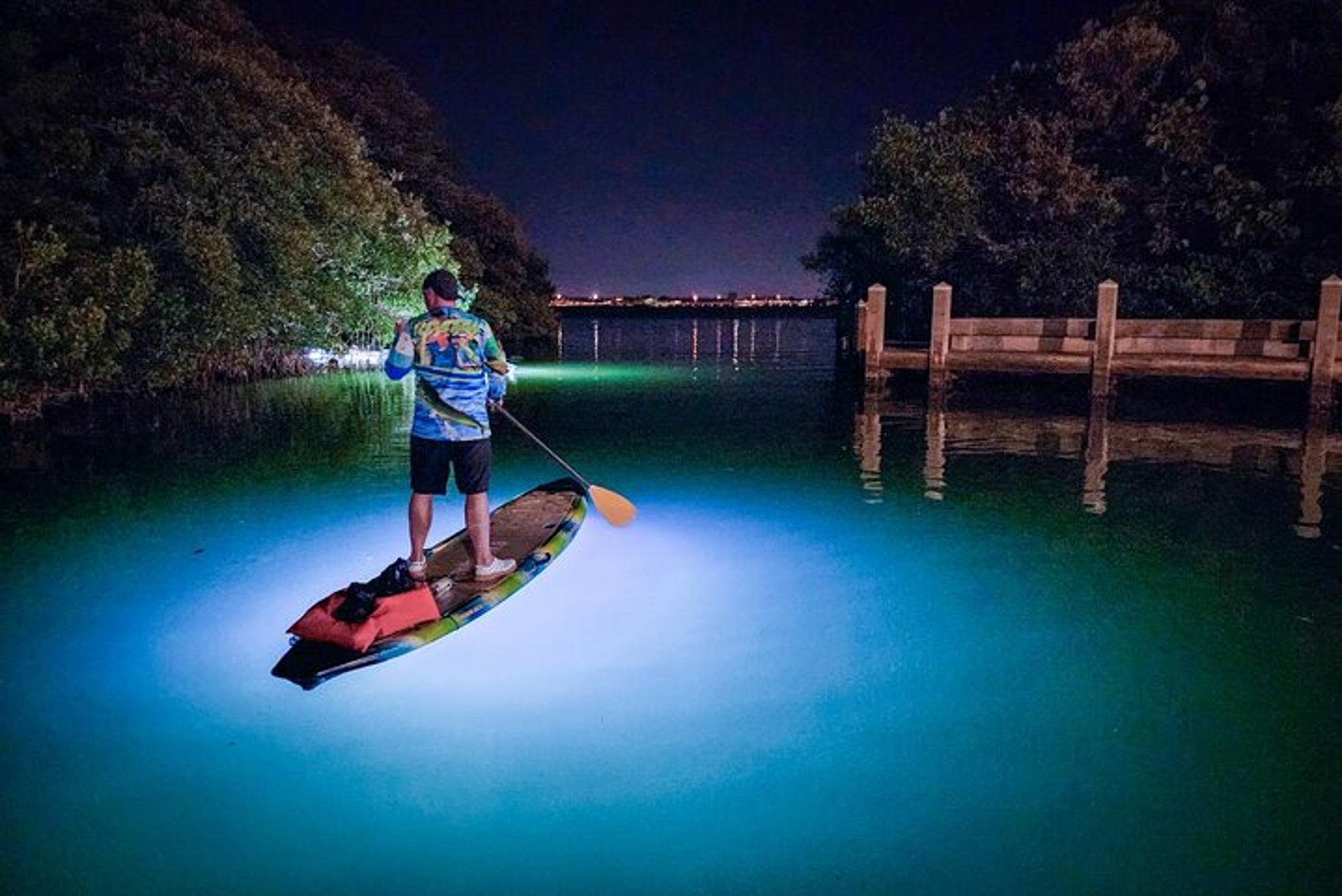 Sarasota Clear Kayak LED Night Tour - Image 3