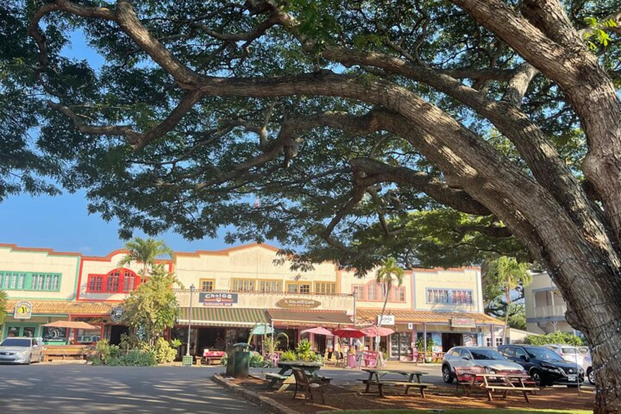 Oahu Private Tour North Shore and Waimea Falls - Image 5