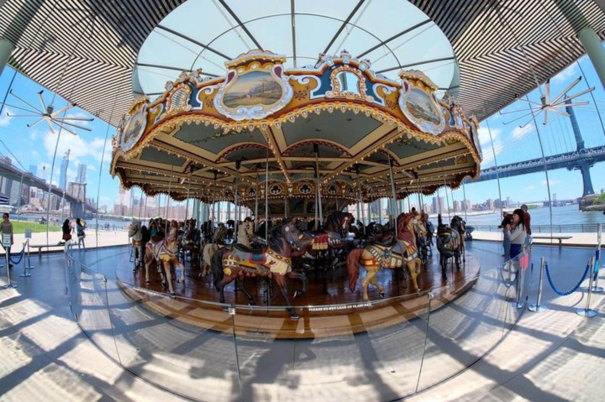 Brooklyn Heights and DUMBO Guided Tour - Image 4