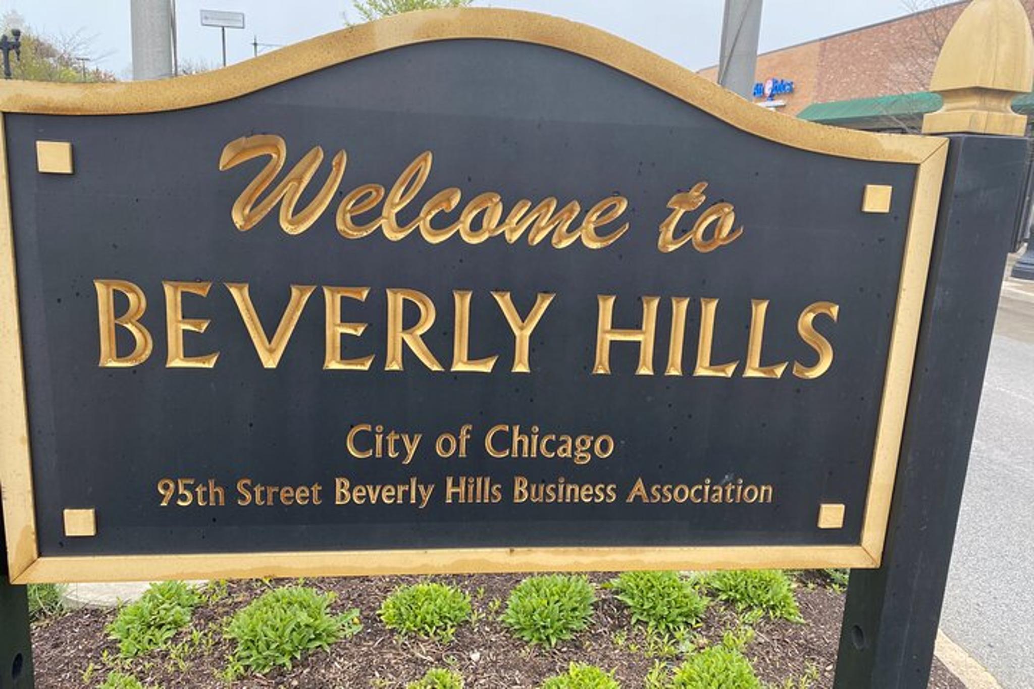 Chicago Neighborhoods Tour North and South Side 4.5 hr