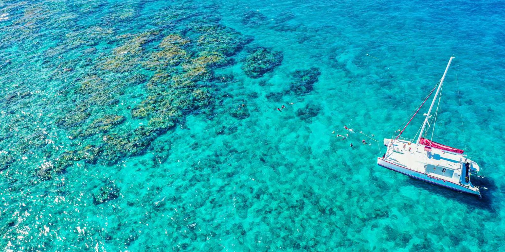 Key West Reef Snorkeling with Open Bar 3 hr