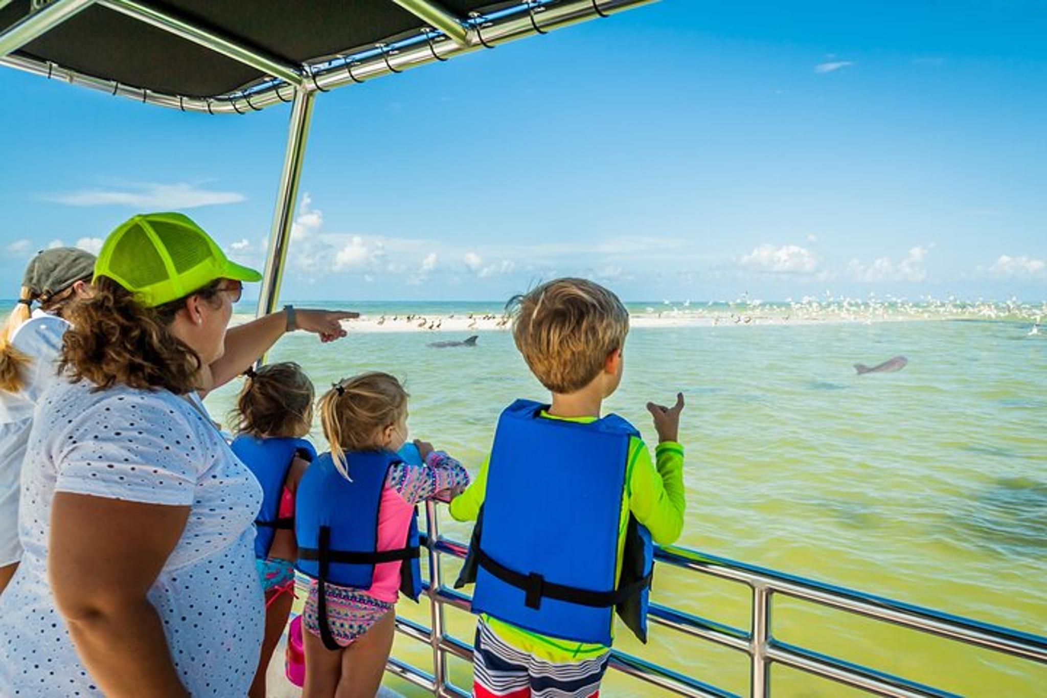 Marco Island Wildlife Sightseeing and Shelling Tour 2 hr - Image 1