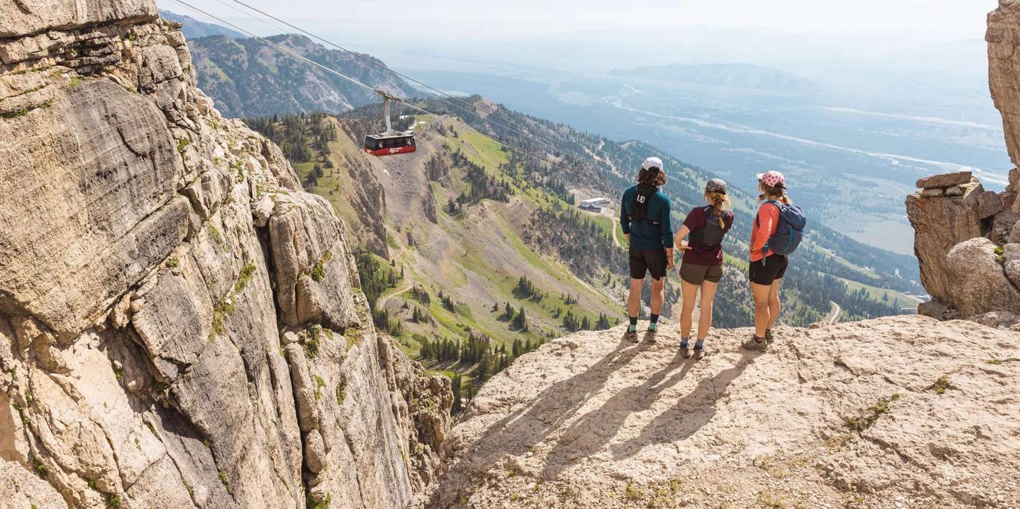 Jackson Hole Aerial Tram and Gondolas Sightseeing - Image 5