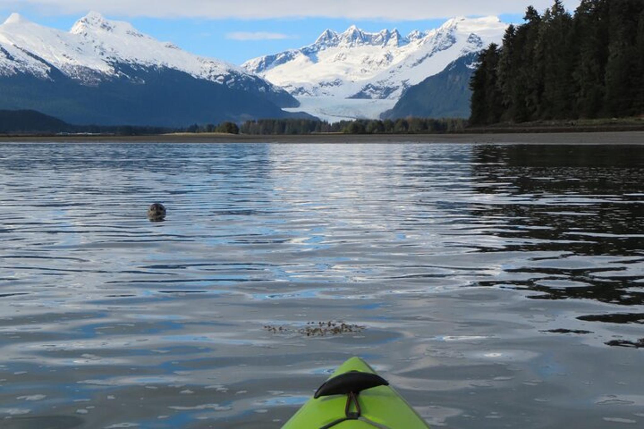 Juneau Kayaking Tour with Mendenhall Glacier Views - Image 6