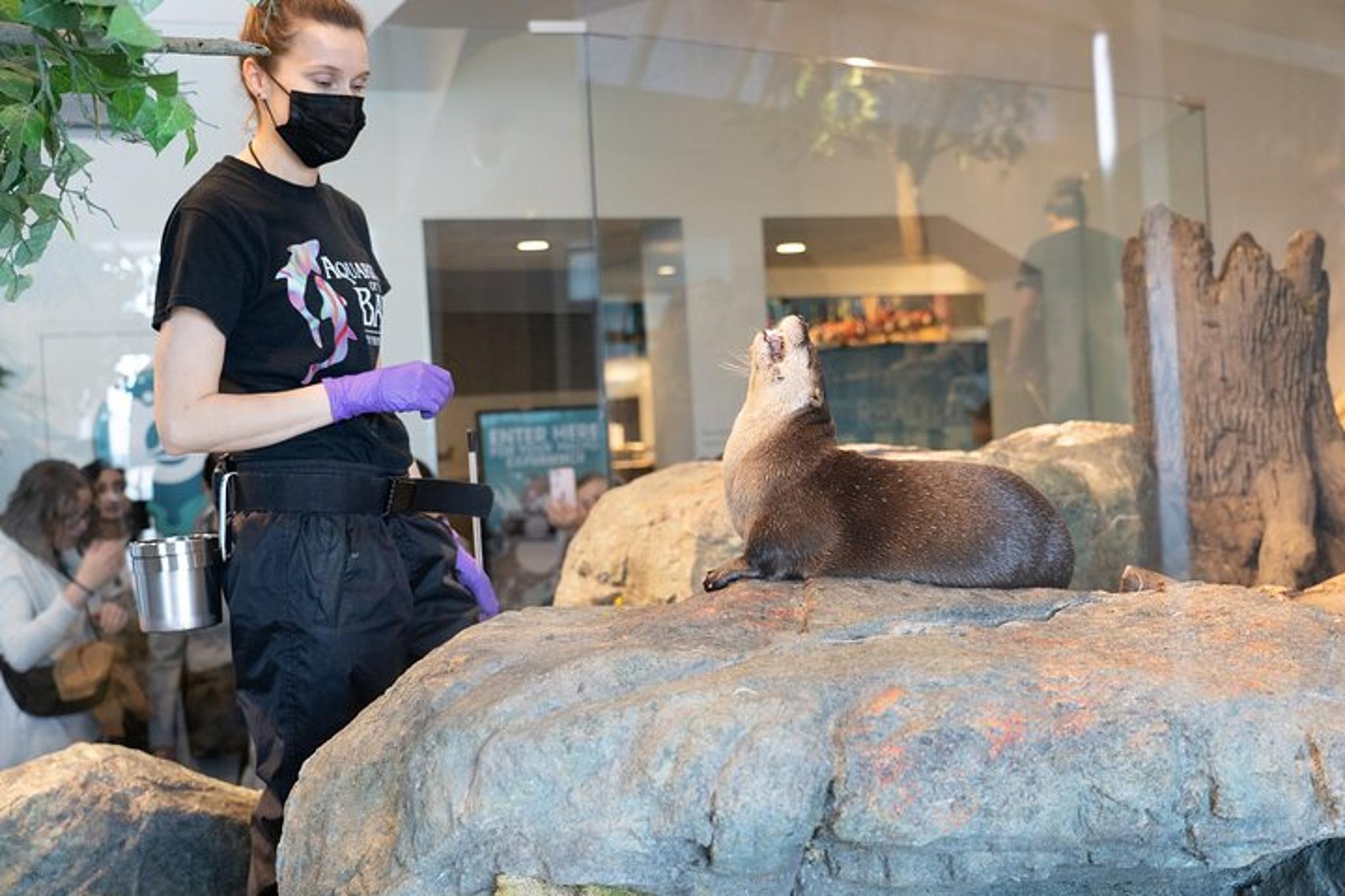 San Francisco Aquarium of the Bay Admission - Image 5