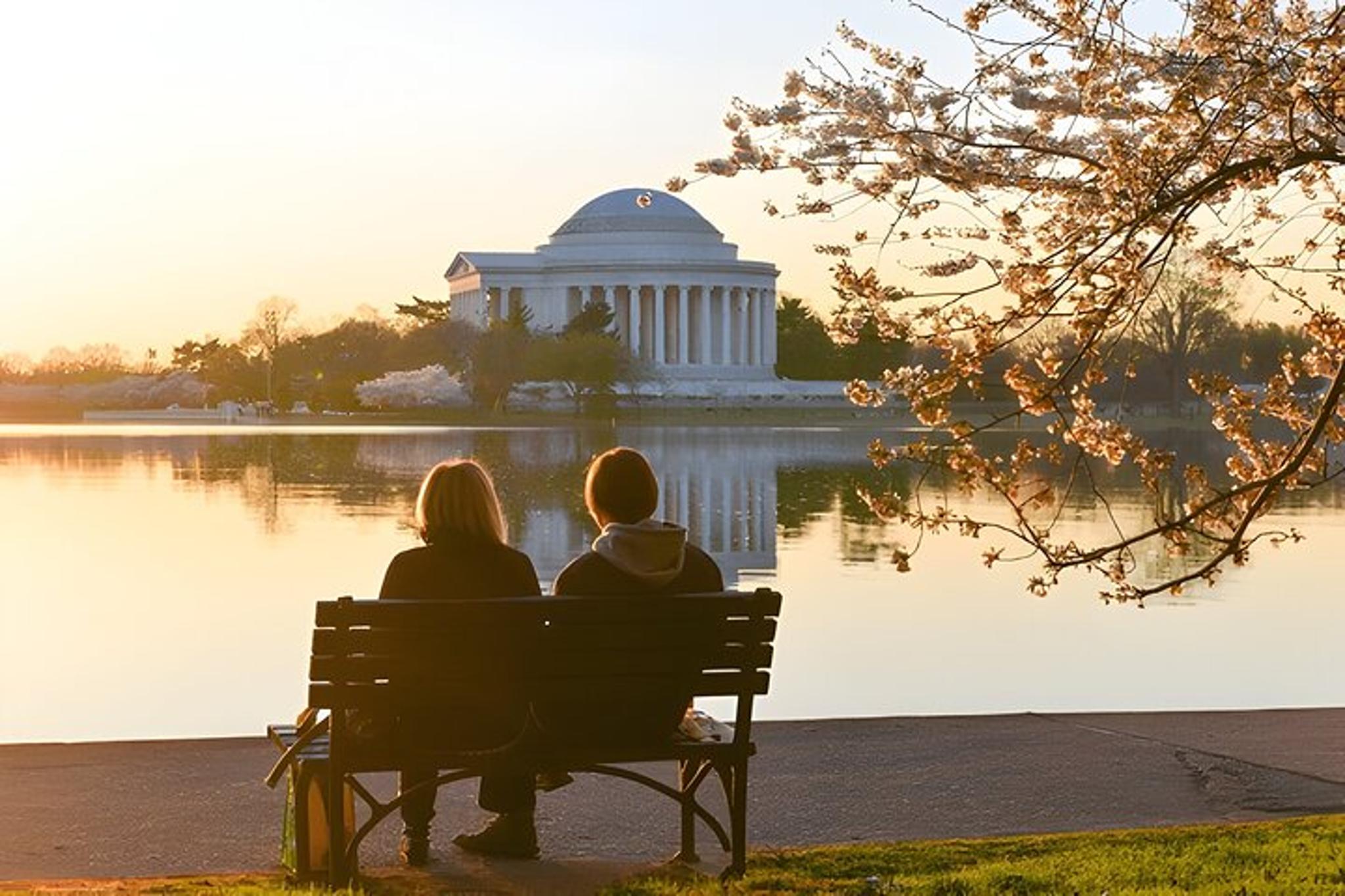 Washington DC City Monuments Tour - Image 6