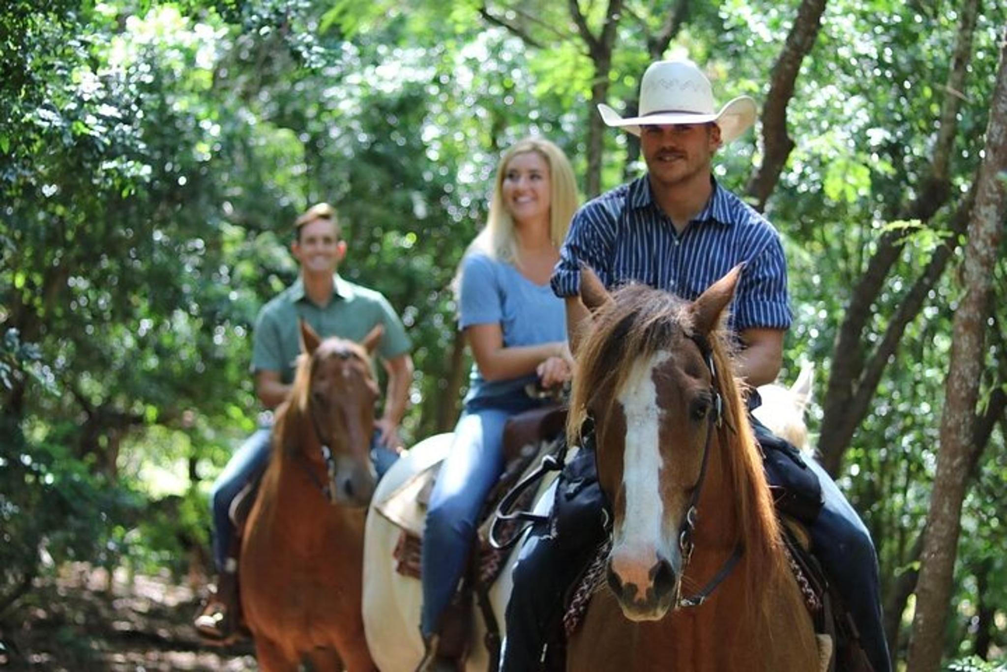 Oahu Horseback Ride with Private Picnic 2 hr - Image 6